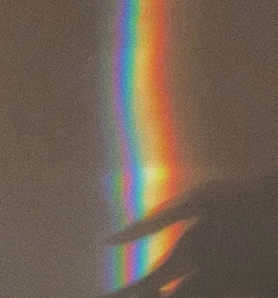 Meet your Posher, Jamilla - Picture 1 of 1